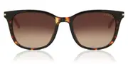 Radley RDS DILLY 102 Men's Sunglasses Tortoiseshell Size 52
