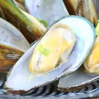 在飛比找蝦皮商城優惠-南海豐【紐西蘭鮮甜淡菜】500g/包 海上先生稱讚的孔雀蛤，
