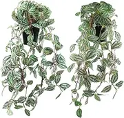 Vnezakl 2 Pcs Artificial Hanging Plants Realistic Watermelon Texture Fake Peperomia Leaves Faux Potting Vine Green Plants for Indoor Outdoor Home Garden Decor