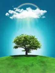 5D Diamond Painting Sunlight Tree Kit