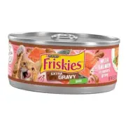 Purina Wet Cat Food Extra Gravy Pate With Salmon in Savory Gravy - (Pack of