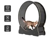 Advwin Cat Exercise Running Wheel 100cm Black