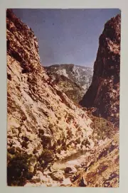 King's Canyon, located in Sequoia National Park near Fresno, California Postcard