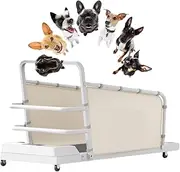 Collapsible Pet Fitness Treadmill, Dog Running Training Easy to Assemble Adjustable Speed 220lb Bearing Weight with Display Screen