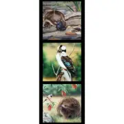 Patchwork Quilting Platypus Kookaburra Echidna Panel 40x110cm Sewing Fabric