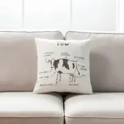 Anatomy Of A Cow With Microgel Feather Like Insert Pillow