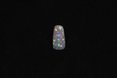 Cut Opalized Shell Fossil from Coober Pedy