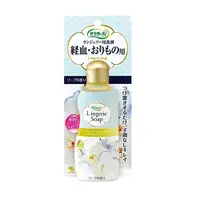 在飛比找PChome24h購物優惠-日本小林製藥 女性生理期專用清潔劑120ml