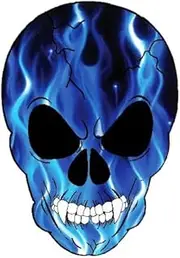 OTA STICKER Bumper Vinyl Skeleton Skull Ghost Devil Zombie Fire Blue Flame Burning Decal Car Laptop Notebook Helmet Luggage Truck Window Door Motorcycle Vehicle Gift
