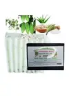 BITTER MELON OR CERASEE SOAP (Asosi)-Oatmeal -Neem- Ginger & Parsley Acne soap