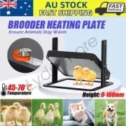 13W Brooder Heating Plate 10" x 10" chicks Chicken Heat Lamp Plate Poultry Black