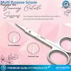 Curved Cuticle Scissor Arrow Point Super Sharp Manicure Pedicure German Gr
