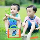 With Handle Insect Bug Cage Box Insect Catcher Toy Box Observation Insects