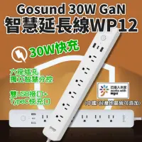 在飛比找momo購物網優惠-【小米】Gosund Gan 智慧延長線 WP12(酷客 小