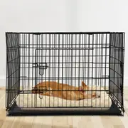 48" i.Pet Dog Cage Crate Large Kennel 3 Doors
