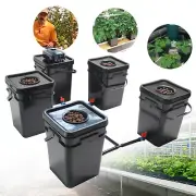 HYDROPONICS 5POT DEEP WATER CULTURE DWC SYSTEM SQUARE POT GROW KIT ROOT GROW 20L