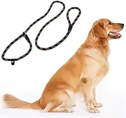 Pet Chain Cesar Millan Dog Leash Whisperer Slip Training Correction Lead and Collar Style 135 cm Black (black)