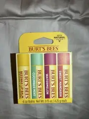 Burt’s Bees Lip Balm 4 Pack Assorted Scents