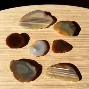 7 Polished Geode Ends Cut Agate Crystal Display Stones Rounded Back Nice Banding