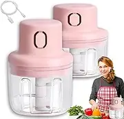 Skypicnic Wireless Food Chopper, Mini Electric Garlic Chopper Cordless, Meat Slicer Rechargeable, Effortless Chopping, Suitable for Onion, Garlic, Ginger, Chili, Fruit (100ml+250ml)