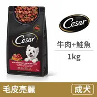 在飛比找毛孩市集優惠-【西莎】犬用精緻乾糧 澳洲牛肉與低敏鮭魚(1公斤) (狗飼料