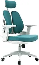 Classic Ergonomic Office Chair High Back, Rolling Desk Chair, Executive Swivel Chair with Adjustable Armrest, Lumbar Support and Headrest Desk Task Chair(Blue)