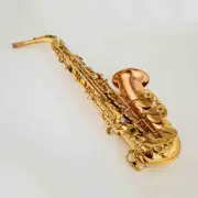 New Alto JAS-769 Saxophone Brass Instrument Gold Lacquer Sax with Case