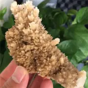166g Rare Natural Calcite Quartz Cluster Mineral Crystal Specimen Healing