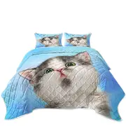 Lovely Grey White Kitten for Children Coverlet