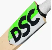 DSC Split 100 English Willow Cricket Bat - 2023/24