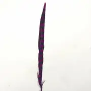 18" to 20" Reeves Pheasant Tail Feather - Cerise