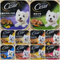 在飛比找蝦皮購物優惠-Cesar 西莎餐盒 100g 精緻主廚風味系列