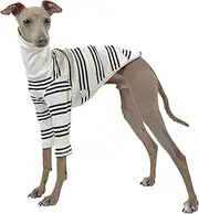 D DOGGY STAR Italian Greyhound Clothes Flexible T Shirts Whippet for Dogs (M,Black Stripe)
