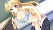 Anime girls blonde blue eyes big zannen na Playmat Gaming Mat Desk