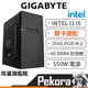 Gigabyte 技嘉 Pekora INTEL I3 / I5 獨顯 電腦主機 G6405 10100 10100F