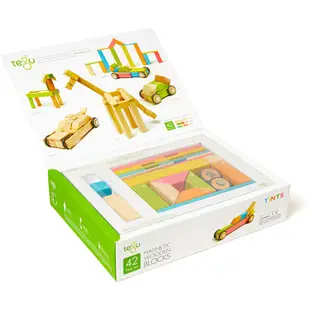 Tegu 磁性積木 探索42系列(調色) 禮盒組 美國代購 正品 綠寶貝