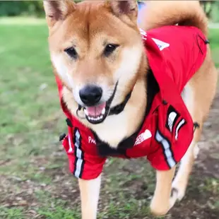 狗狗秋冬保暖衣服 超帥氣INS大狗衣服 美國國旗潮牌防風防雨北面防風外套狗外套 狗狗大型犬雨衣 寵物防風外套 現貨 免運