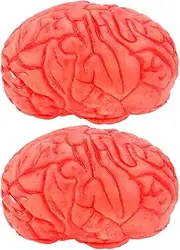 Housoutil 2pcs Halloween Fake Brain Props Simulated Latex Brains Body Organ Decorations