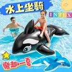 台灣現貨 INTEX 充氣坐騎 水上坐騎 鯨魚坐騎 充氣浮排 浮床 戲水玩具 水上玩具 浮具 夏天戲水 游泳戲水 泳圈