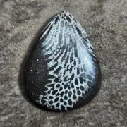 Natural black fossil coral gemstone top grade quality stone drop shape cabochon
