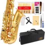 Gold Laquer E Flat Alto Saxophone with 11Reeds,8 Pads Cushions,Case,Carekit