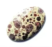 30.69cts NICE ASTEROID JASPER CABOCHON 41.5 x 26 x 3.5 mm MEXICO # 31