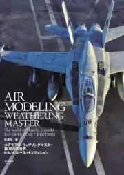 Air Modeling Weathering Master The World of Shuichi Hayashi F/A-18
