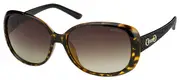 POLAROID-P8430-581-5815-SUNGLASSES
