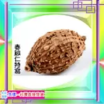 【廚房香】香砂仁100G->廣砂仁/春沙仁/西砂仁/燒菜/滷肉/火鍋