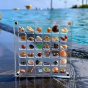 Acrylic Magnetic Seashell Display Box,Portable Display Box,36 Grids Diamond G...