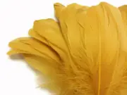 1 Pack - Antique Gold Goose Nagoire Loose Feather - 0.25 Oz. Halloween Supplier