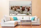 Highland Cow Herd on Grass Field Wall Canvas Home Decor Australian Made Quality