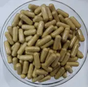 ORGANIC Bitter Melon Fruit 20:1 Extract Capsules Momordica Charantia