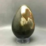 Polychrome Jasper Egg 107mm Power Stone Metaphysical Healing Display Piece